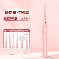 电动牙刷充电式成人全自动纳米电动牙刷防水软毛USB充电式超声波 少女粉[充电款高频6档位] [体验版]送2刷头