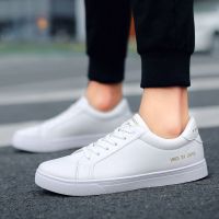 鞋子男士板鞋百搭小白鞋男春季新款韩版白色休闲鞋子学生系带男鞋 ZY5601白色 39