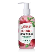 抑菌洗手液儿童保湿家用清香型除菌杀菌学生家庭装按压瓶消毒除菌 红石榴VE滋养型1瓶