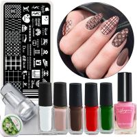 大牌美甲印花板套装全套钢板印花油印章转印防溢胶彩绘蝴蝶叠印 QL38套装