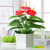 发财树盆栽仿真花客厅家居塑料花绿植物书桌摆件卧室办公室装饰品 红掌盆景方盆套装