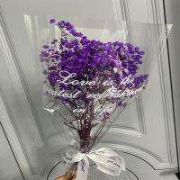 满天星超大束鲜花花束家居客厅摆件小清新真花勿忘我生日干花论斤 随机满天星(不计重无) 半斤(送灯串)