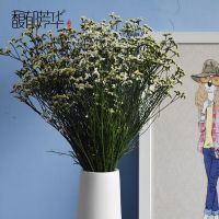 云南天然风干干花花束大束水晶草情人草家具装饰摆设 黄色水晶草半斤一束 不带花瓶