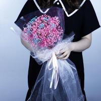 满天星干花花束香皂玫瑰手捧花礼袋送闺蜜女朋友生日情人节礼物 透明粉色满天星款(无手提袋无灯串)