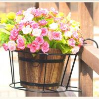 [买二送一]铁艺栏杆护栏花架壁挂悬挂阳台吊兰绿萝简易花盆架子 黑色 普通款