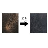 坚野增发补发密发纤维喷雾130ml头发稀疏密发增发补发假发 黑色