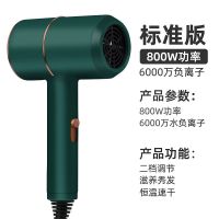 南极人吹风机家用大功率学生宿舍静音蓝光负离子不伤发便携电吹风 绿草如茵 家庭推荐(功率1300W)