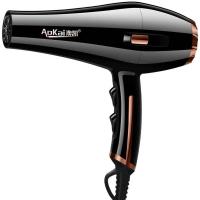 电吹风机家用吹头发强力大功率理发店专用大风静音速干卷发神器 气质金 1800+风嘴