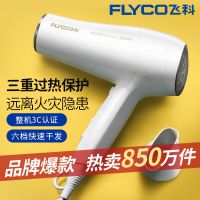 电吹风机家用折叠发廊用大功率2000W冷热吹风筒恒温护发 白色大功率折叠吹风机