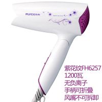 飞科电吹风机FH6257电吹风家用小功率冷热风静音学生宿舍电吹风筒 飞科紫花纹款FH6257