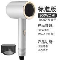 吹风机学生宿舍静音电吹风家用大功率电吹风筒大风力负离子护发 珍珠白 普通款