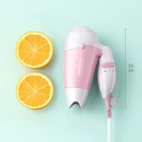 飞科博锐电吹风机学生宿舍专用小功率便捷式迷你护发宿舍好物 校园青春款