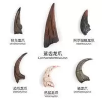 考古恐龙爪迷你体验真实化石骨架儿童益智玩具恐龙挖掘动脑diy 考古恐龙爪迷你体验真实化石骨架儿童益智玩具恐龙挖掘动脑di