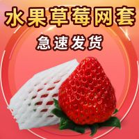 草莓网套 草莓保护网套水果草莓防磕碰网套 草莓加厚网套水果网套 草莓专用网套普通6*5约1210个