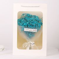 满天星干花七夕花束情人节礼物成品送人女朋友闺蜜永生花生日礼物 蓝色永生满天星 花+迷你手提礼盒+送灯