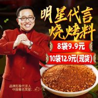 明星句号代言 东北风味烧烤料串料撒料 大袋30g装 8包(4包不辣+4包中微辣)