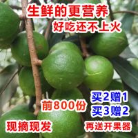 (买3斤送2斤)新鲜夏威夷果生坚果干果 奶香味 原味无添加散装袋装 大颗颗粒 带青皮鲜湿果1斤(买2送1斤)