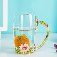 雏菊珐琅杯家用喝水玻璃杯耐热高硼硅花茶杯咖啡杯水杯女夏天用 雏菊绿高简装