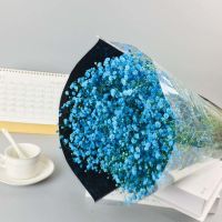 云南满天星鲜花称斤卖天然干花花束勿忘我大花束客厅家居装饰摆件 蒂芙尼蓝 半斤满天星