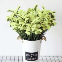 云南勿忘我鲜花真花满天星花束客厅摆设花干花花束家居装饰摆件[11月13日发完] 随机色 不可指定颜色10支