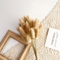 ins干花摆件真花天然风干永生花束木偶关节人抱抱花客厅家居装饰 原色兔尾草(不含木偶人)