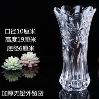 玻璃花瓶加厚创新款客厅卧室百合花富贵竹水培透明彩色玻璃干花瓶 小号兰花透明加厚无铅