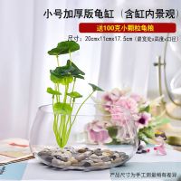 乌龟缸玻璃圆形办公桌绿萝水培家用小鱼创意透明小型迷你桌面龟缸 小號加厚龟缸/铜钱草+鹅卵石+龟粮