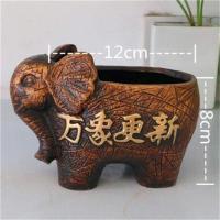 散尾葵盆栽绿植室内植物除甲醛防辐射凤尾竹富贵椰子大型客厅净化 15厘米左右+万象更新 不含盆