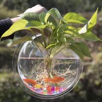 壁挂绿萝花瓶创意房间装饰品亚克力鱼缸家居客厅电视墙卧室装挂饰 透明款 15厘米 送石头+植物
