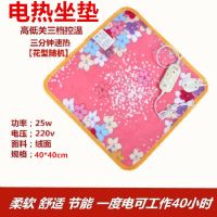 多功能加热坐垫办公室加热椅垫热敷防水宠物取暖小电热毯理疗 单层加热垫40*40cm