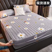 南极人夹棉床笠单件透气床罩套席梦思保护套床垫套防尘罩 花海灰 90*200cm[单件床笠]