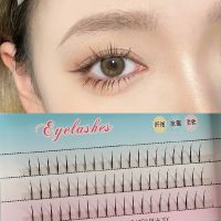 2021款 仙女睫毛A型仙子睫毛单根仙子嫁接朵毛自然眼睫毛厂家批发 仙女单根3排装 8mm