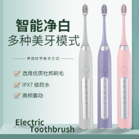 简洁电动牙刷JS10-1