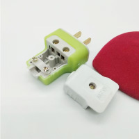 長缆 两脚插头 1个