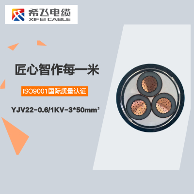 希飞牌 YJV22-0.6/1KV-3*50mm² 铜芯低压铠装电缆 元/米 联系客服 定制商品