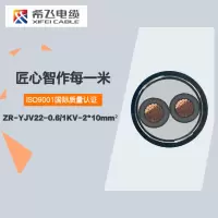 希飞牌 ZR-YJV22-0.6/1KV-2*10mm² 阻燃铜芯低压铠装电缆 元/米 联系客服 定制商品