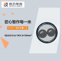 希飞牌 YJLV22-0.6/1KV-2*10mm²铝芯铠装电缆 元/米 定制商品 联系客服