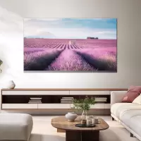 TCL 65P11K 液晶电视机 65英寸 QLED超薄一体化设计 智能语音