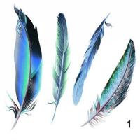 汽车划痕贴纸羽毛修复贴防水遮挡汽车装饰贴纸个性保险杠引擎盖贴 1号羽毛