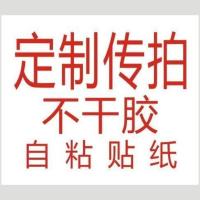 合格证标签通用定制贴纸不干胶标签贴纸镭射贴纸不干胶自粘贴 定制传拍