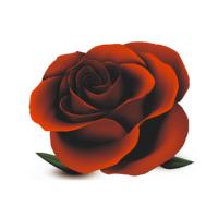 [买二送一]汽车刮痕贴花朵遮挡车身车门划痕贴保险杠贴防水贴纸 红玫瑰