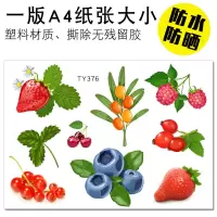 划痕遮挡3d立体汽车贴纸油箱盖刮痕装饰贴水果花朵车身改装个性贴 草莓/TY376