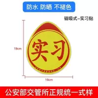 女司机新手上路汽车磁性贴纸实习标志车贴牌创意个性文字统一装饰 磁吸实习贴