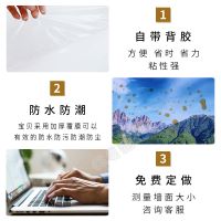 私人定制明星海报宝宝个人写真照片打印海报定制宿舍贴纸动漫贴纸 PP背胶[升级加厚防水]撕开即贴 其他尺寸[报价再]