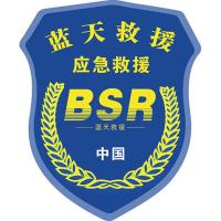 可定制汽车磁性车贴蓝天救援车贴标志蓝豹应急救援队红十字贴纸 15厘米反光盾牌(一对) 带胶反光车贴