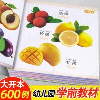 宝宝看图识物认物卡片儿童识字书0-3岁婴幼儿书籍早教启蒙认知书 认物大全600例[加厚版共237页]