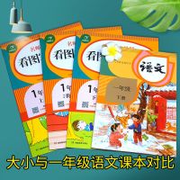 正版2021看图写话训练一年级同步作文全3册基础篇+提高篇+培优篇