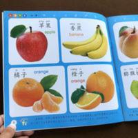 宝宝看图认物书大图大字认水果蔬菜玩具幼儿启蒙早教认知书识物书 小树丫-认物大全