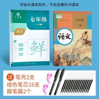 衡水体中文字帖初中七八九年级人教版同步中学生钢笔楷书练字帖 七年级下册语文字帖[凹槽]