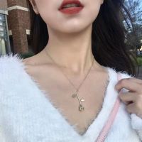 小王子的玫瑰花胸针毛衣别针西装胸花金属胸针女高档气质项链配饰 玫瑰项链